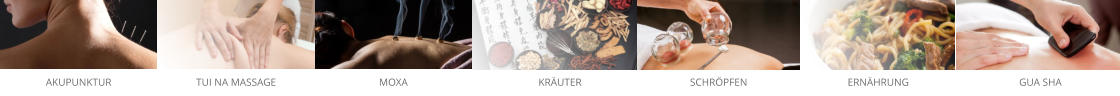 AKUPUNKTUR TUI NA MASSAGE MOXA KRÄUTER SCHRÖPFEN ERNÄHRUNG GUA SHA
