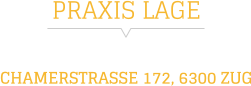 PRAXIS LAGE CHAMERSTRASSE 172, 6300 ZUG